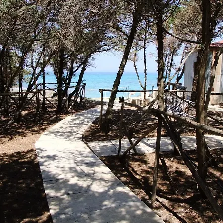 Rosa Marina Frontline