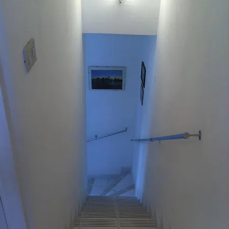 Rosa Marina Frontline