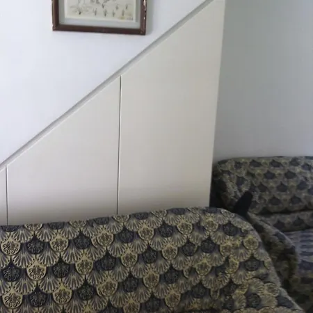 Rosa Marina Frontline