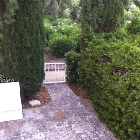 Rosa Marina Frontline