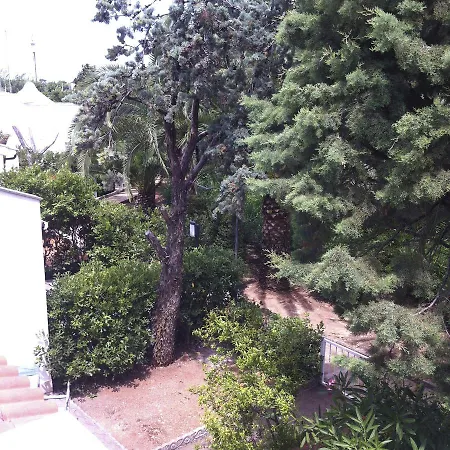 Rosa Marina Frontline *