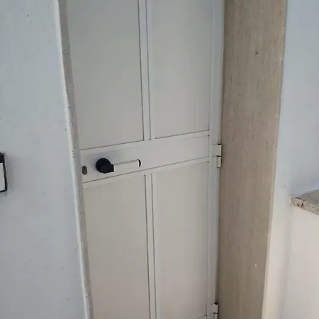 Rosa Marina Frontline *