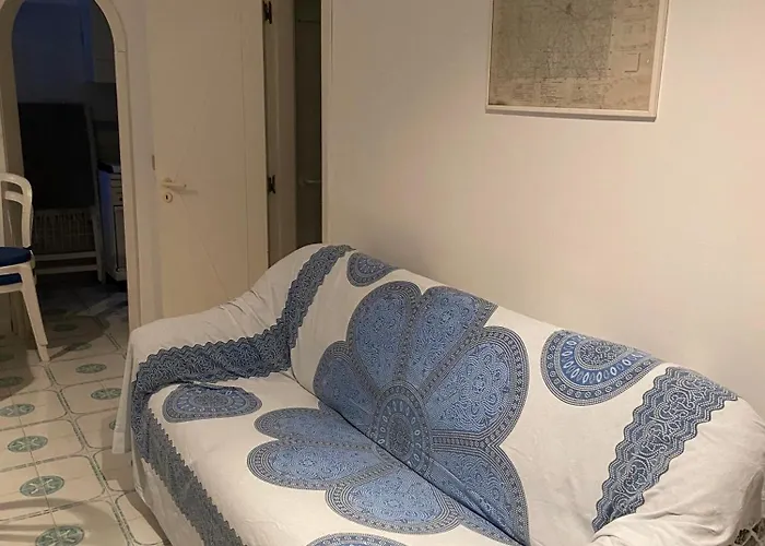 Rosa Marina Frontline *