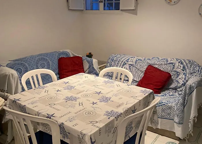 Rosa Marina Frontline