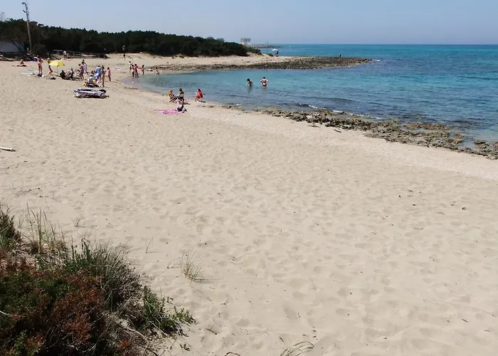 Rosa Marina Frontline בית הארחה אוסטוני