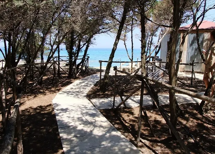 Rosa Marina Frontline