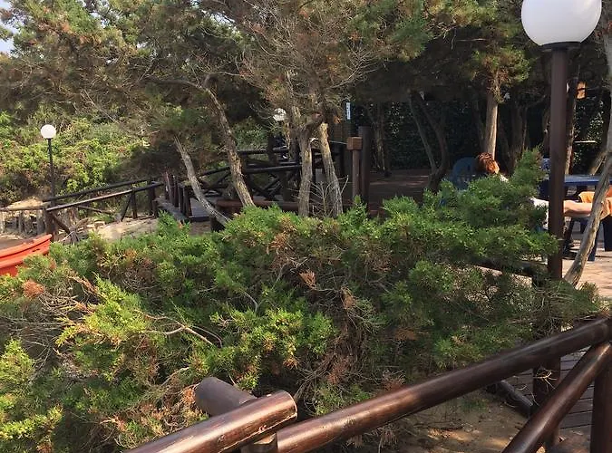 Rosa Marina Frontline בית הארחה