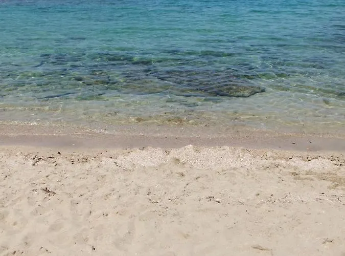 Rosa Marina Frontline בית הארחה אוסטוני