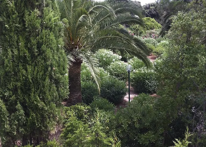 Rosa Marina Frontline *