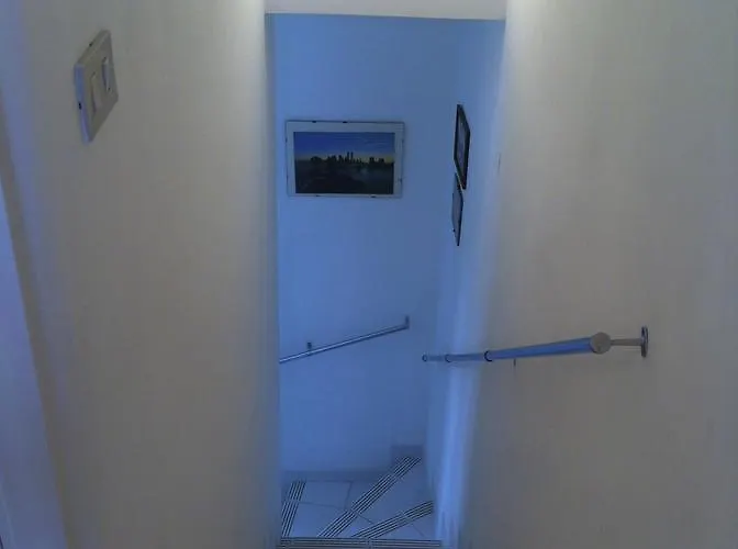 Rosa Marina Frontline