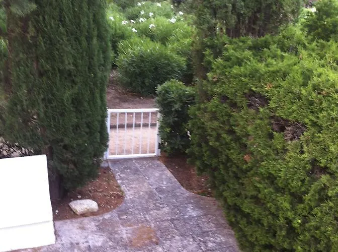 Rosa Marina Frontline