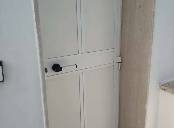 Rosa Marina Frontline *